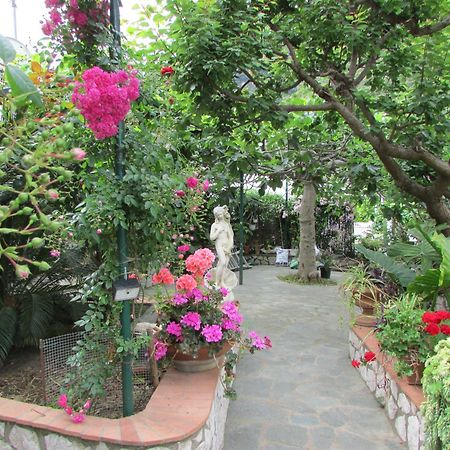 B&B Palazzo A Mare Капри Екстериор снимка