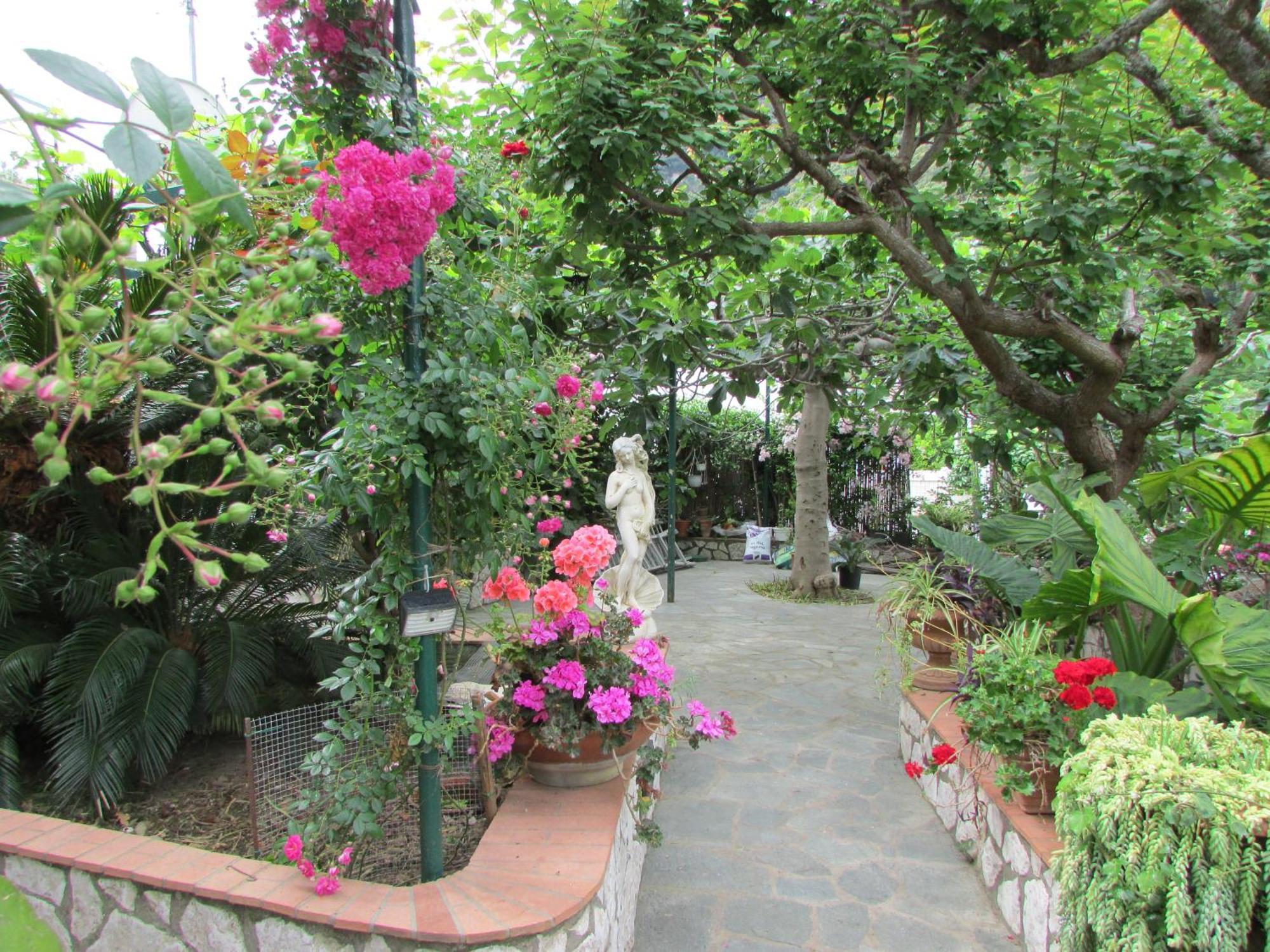B&B Palazzo A Mare Капри Екстериор снимка