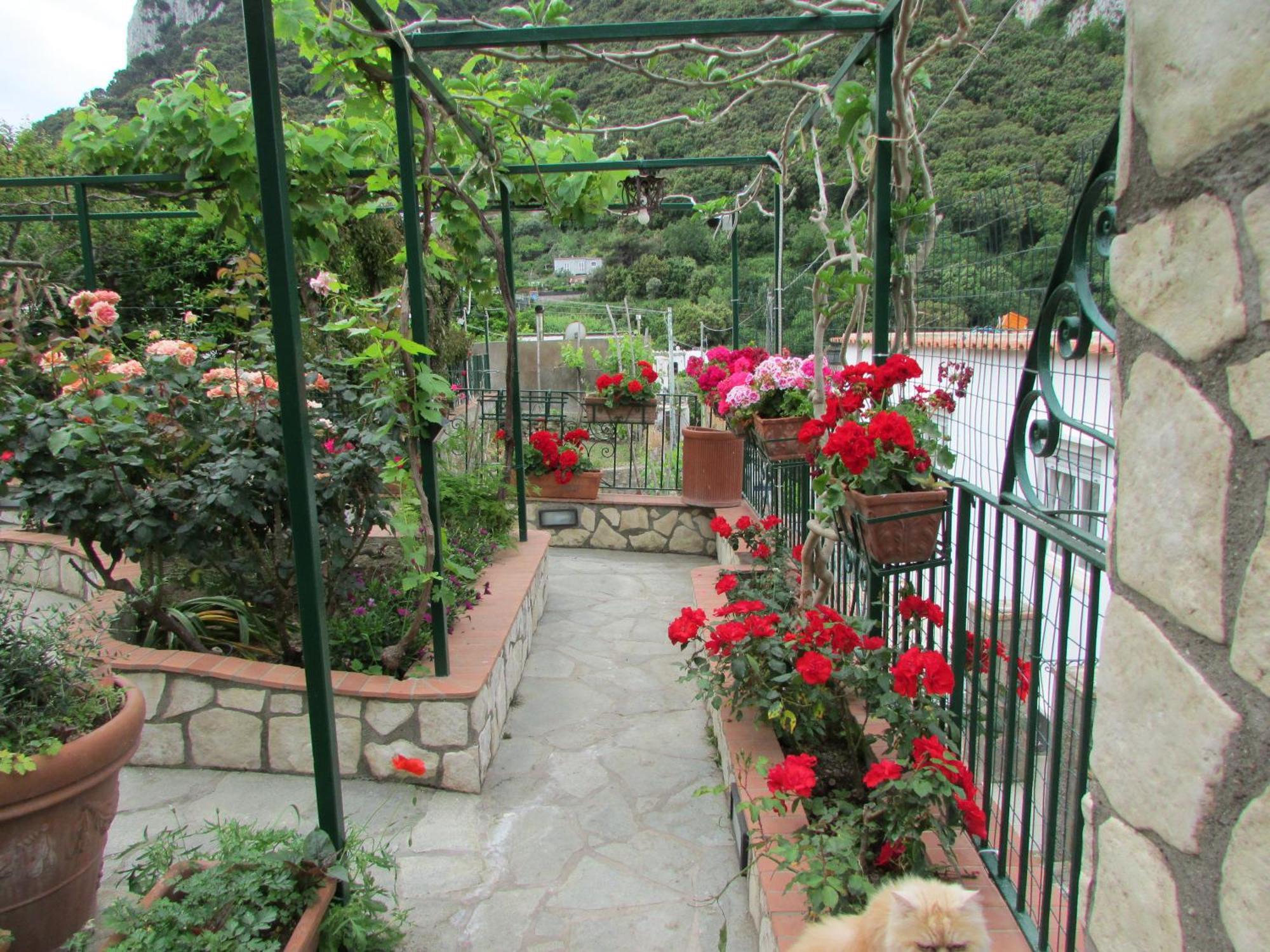 B&B Palazzo A Mare Капри Екстериор снимка